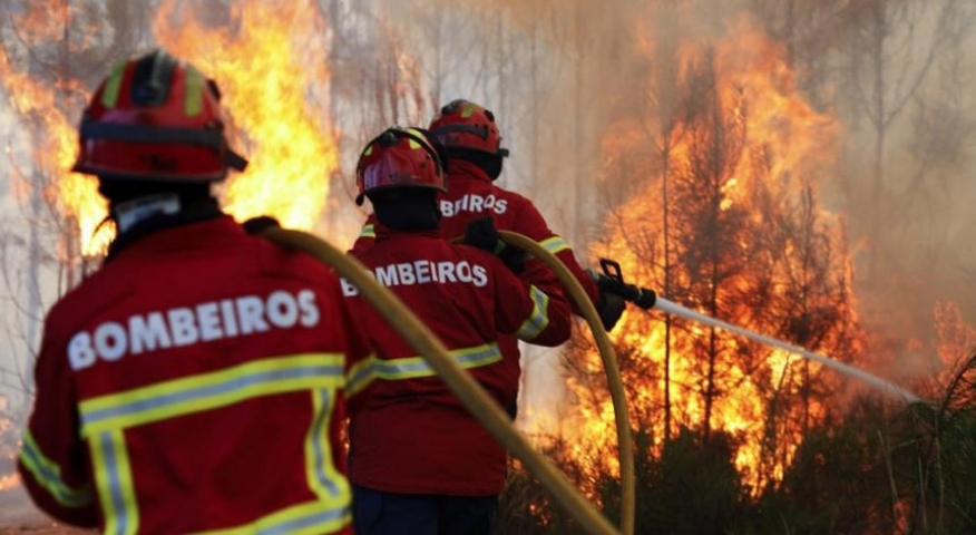 Dia Nacional do Bombeiro: o profissional que arisca a vida para proteger as pessoas