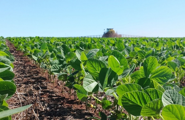 Uirapuru Ecologia: produção de alimentos em larga escala depende de agroquímicos, avalia especialista