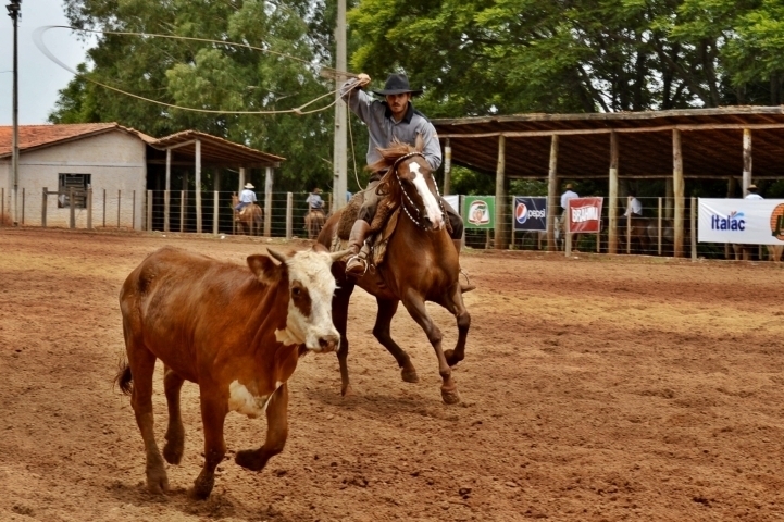 O Parque da Roselândia sediará os dois dias de evento, 16 e 17 de outubro