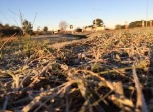 Inverno não deve ser rigoroso no RS e terá chuvas abaixo da média