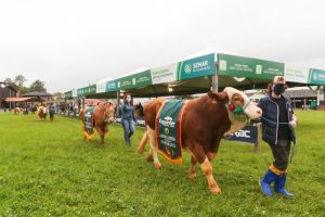 Expointer Digital é oficialmente aberta com tradicional Desfile de Campeões