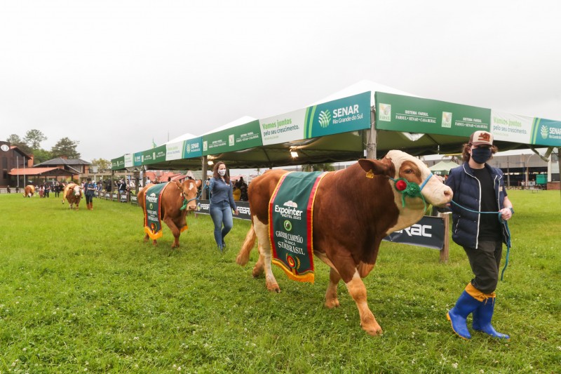 Expointer Digital é oficialmente aberta com tradicional Desfile de Campeões