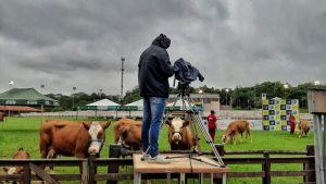Expointer Digital 2020 deixa legado para próximas edições
