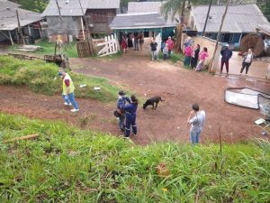 Município pede ajuda ao Estado para reassentar moradores irregulares