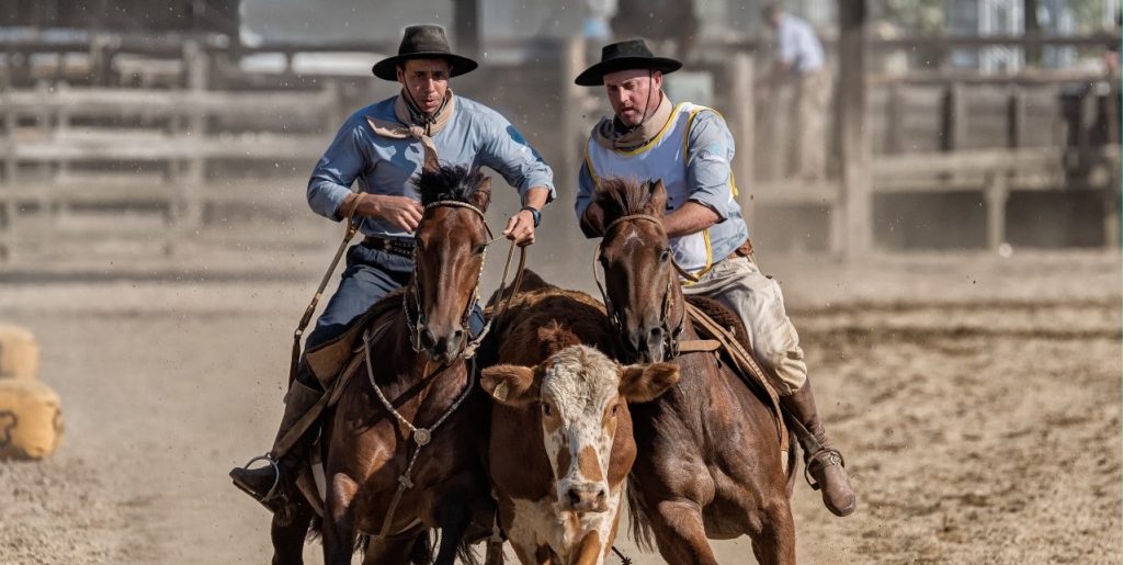Final da Paleteada do Cavalo Crioulo contará com 150 duplas em Esteio