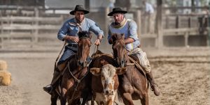 Final da Paleteada do Cavalo Crioulo contará com 150 duplas em Esteio