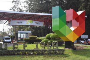Vestibular de Verão UPF: candidatos poderão fazer provas online