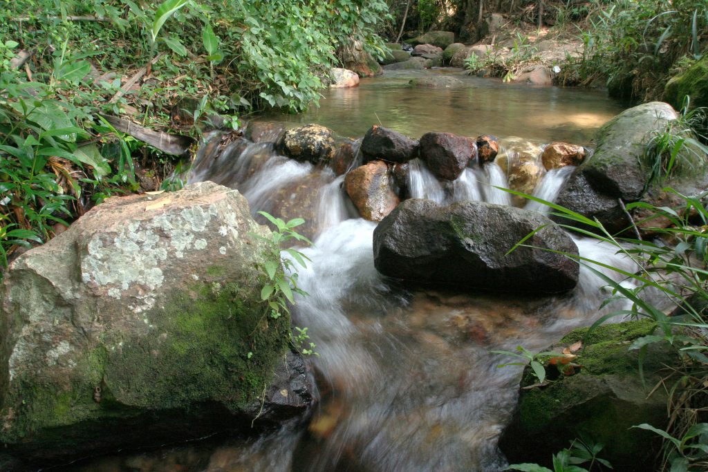 Geoparques aliam turismo e preservação do meio ambiente a imagem mostra o Geoparque Araripe