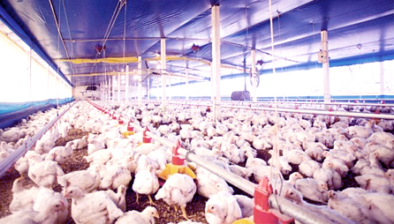 Sindicato da Alimentação disponibiliza currículo padrão para interessados em trabalhar na Somave