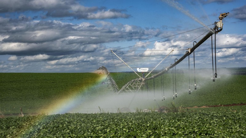 No RS estima-se que apenas 17% das áreas plantadas possuem irrigação