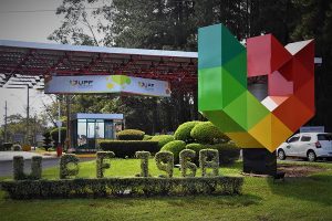 Vestibular de Verão da UPF terá formato online e presencial