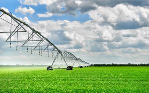Presidente da Assembleia sugere desonerar projetos de irrigação no Estado a imagem mostra um sistema de irrigação
