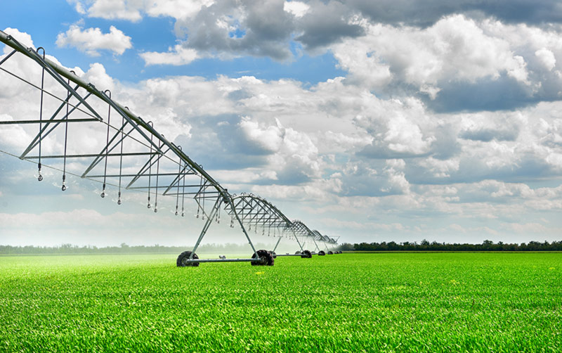 Presidente da Assembleia sugere desonerar projetos de irrigação no Estado a imagem mostra um sistema de irrigação