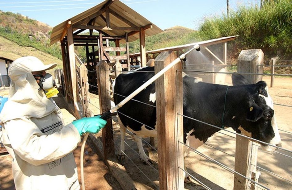 Utilizar produto veterinário para controle de insetos não é recomendado a imagem mostra a aplicação de produtos em um bovino