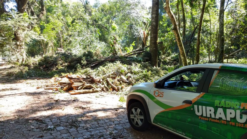onstruir no Bosque Lucas Araújo exige cumprimento de regras rígidas