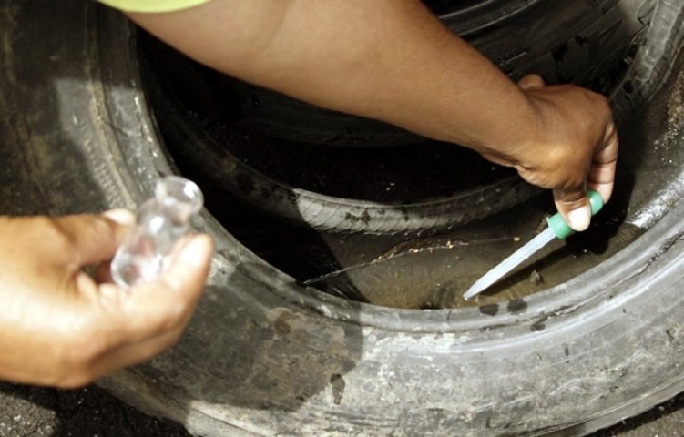 Cuidados com o Aedes Aegypti devem ser redobrados no calor