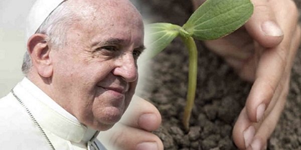 Papa Francisco traz sensibilidade ambiental, avalia padre
