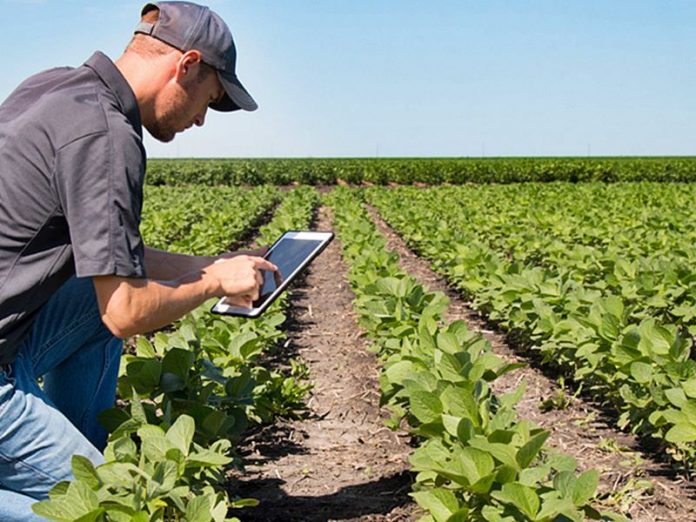 Dia do Técnico Agrícola: profissão tem mercado amplo e oportunidade de crescimento a imagem mostra um técnico agrícola no campo