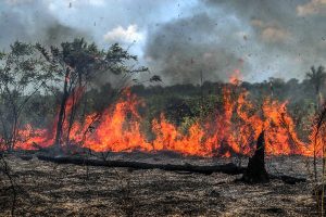 Uirapuru Ecologia realiza retrospectiva das questões ambientais de 2020 a imagem mostra as queimadas no Pantanal