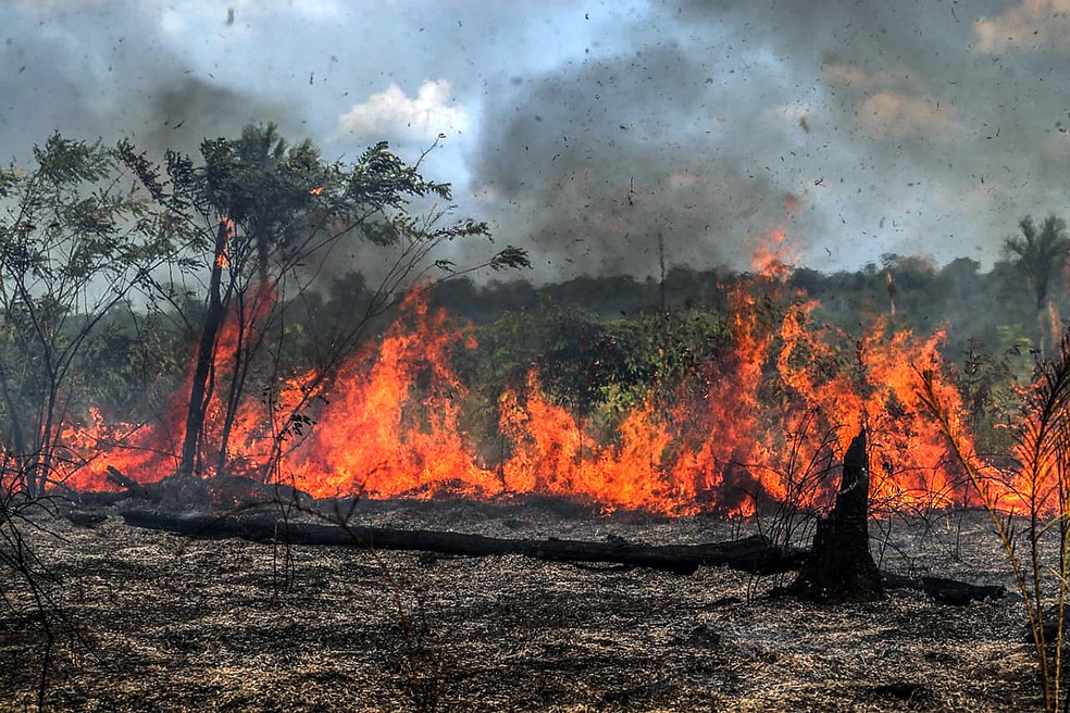 Uirapuru Ecologia realiza retrospectiva das questões ambientais de 2020 a imagem mostra as queimadas no Pantanal