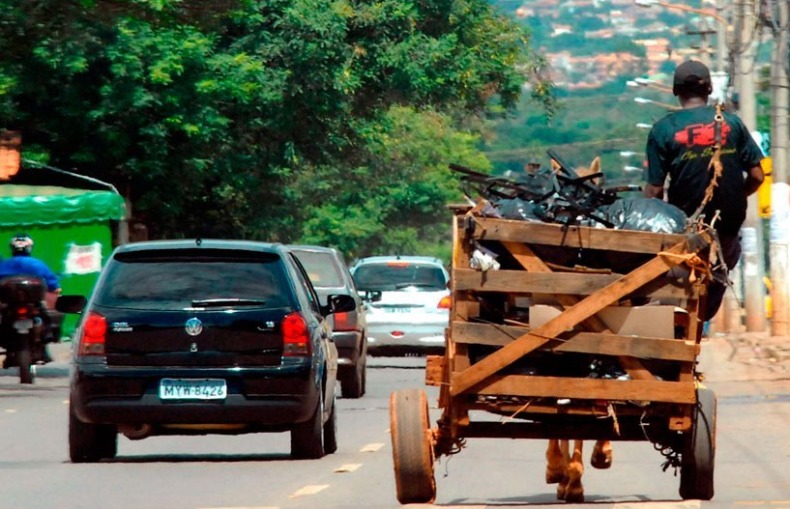 Mesmo com lei, carroças seguem sem cadastro e cavalos continuam sendo utilizados para trabalho