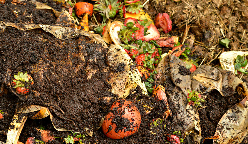 Compostagem é alternativa para gerar adubo através do lixo orgânico