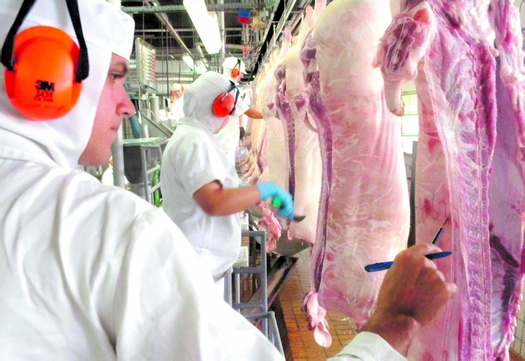 Suinocultura teve um crescimento excepcional no estado, avalia presidente de associação
