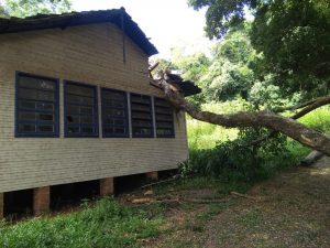 Queda de árvore danifica telhado de escola Brizoleta no interior de Passo Fundo