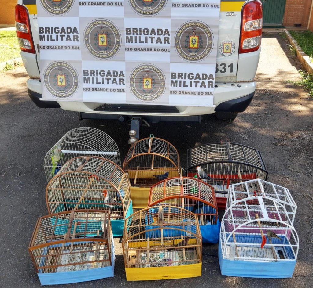 Batalhão Ambiental de Passo Fundo em ação PATRAM BABM