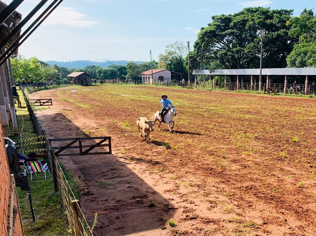Sem presença de público, Torneio de Laço do DT Simpasso acontece neste fim de semana em Passo Fundo
