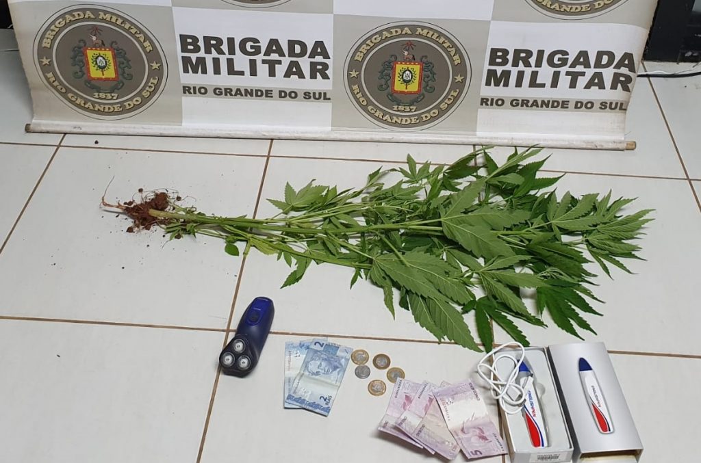 Força Tática prende homem com plantas de maconha na Operária