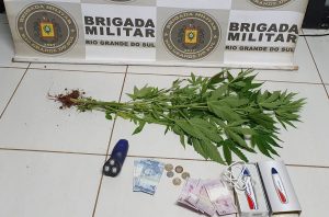 Força Tática prende homem com plantas de maconha na Operária