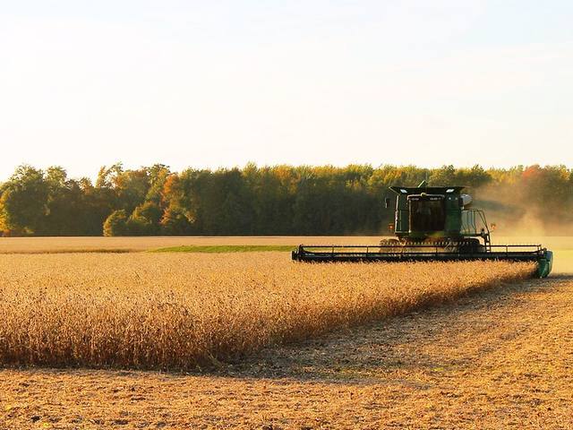 Mercado agrícola: colheita da soja começa sob expectativa de safra recorde