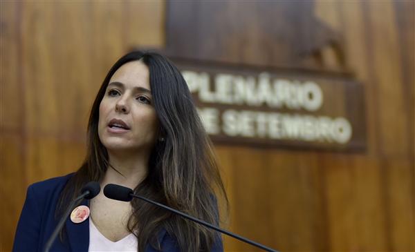 Any Ortiz quer debater aperfeiçoamento do Plano de Distanciamento Controlado do RS