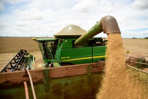 Agronegócio deve impulsionar a economia brasileira mais uma vez, mas margem de lucro dos produtores será menor