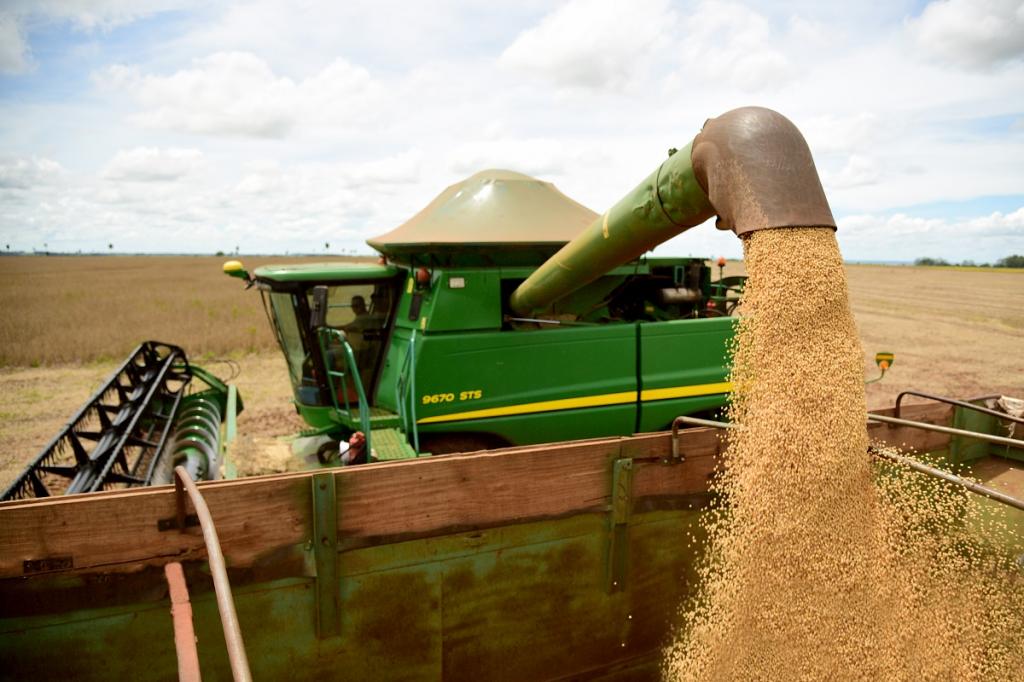 Agronegócio deve impulsionar a economia brasileira mais uma vez, mas margem de lucro dos produtores será menor
