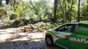 Uirapuru Ecologia debate importância de preservar o Bosque Lucas Araújo