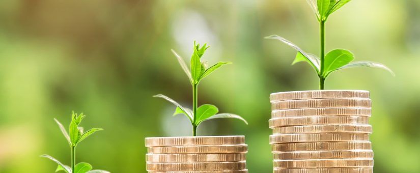 Lei de pagamento por serviços ambientais é incentivo à conservação e desenvolvimento sustentável, avalia agrônomo