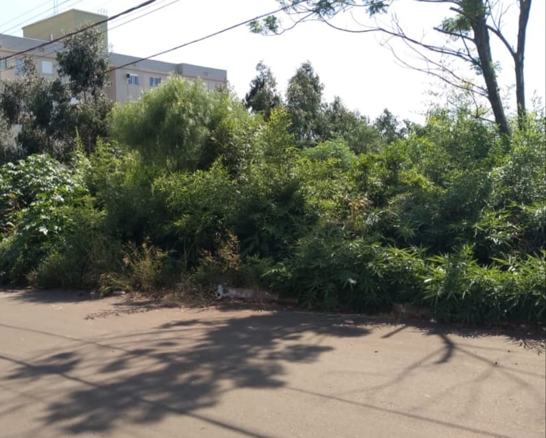 Prefeitura agiliza processo de identificação e denúncias envolvendo terrenos baldios