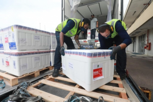 Lote com mais de 174 mil doses da CoronaVac chega no Estado