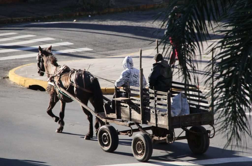 Deputado Luiz Marenco quer proibir uso de carroças com tração animal no RS