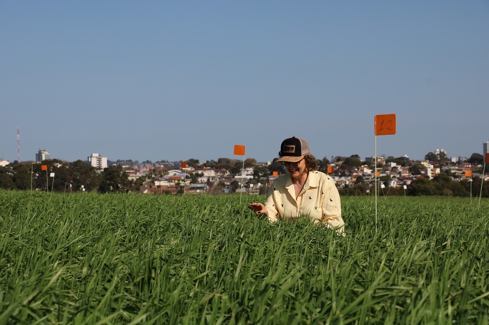 Com cerca de três mil alunos formados, curso de Agronomia da UPF comemora 60 anos em 2021