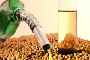 Aumento no óleo diesel tem relação com o preço do biodiesel que precisa ser adicionado ao combustível
