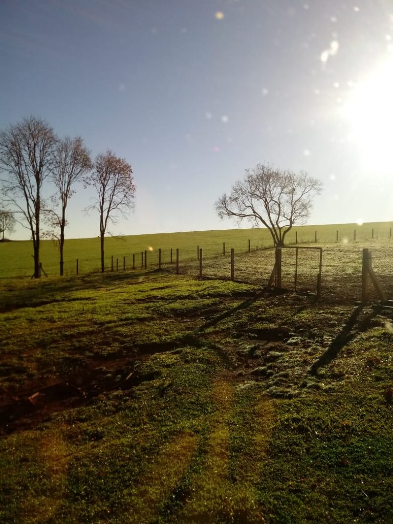 Último dia de maio deve ser seco e com temperaturas baixas, avalia analista da Embrapa