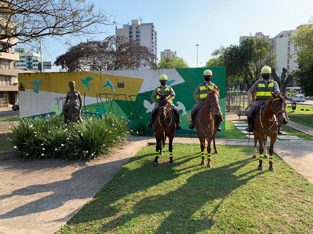 Dia da Cavalaria: Passo Fundo é uma das cidades do estado que ainda mantém o Pelotão Hipo