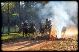 Dia da Cavalaria: Passo Fundo é uma das cidades do estado que ainda mantém o Pelotão Hipo