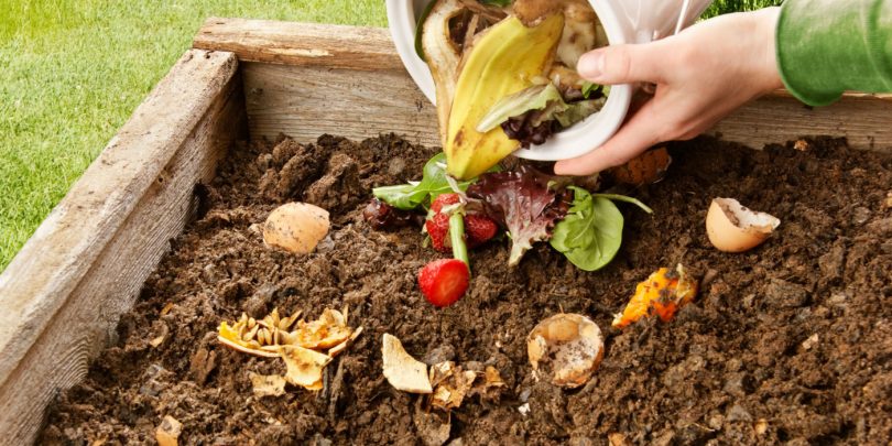 Todo material orgânico de Passo Fundo pode ser reaproveitado em área de 40 hectares para compostagem