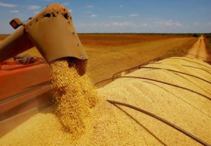 Exportações do agronegócio chegaram a US$ 159 bilhões em 2022, puxadas pela soja