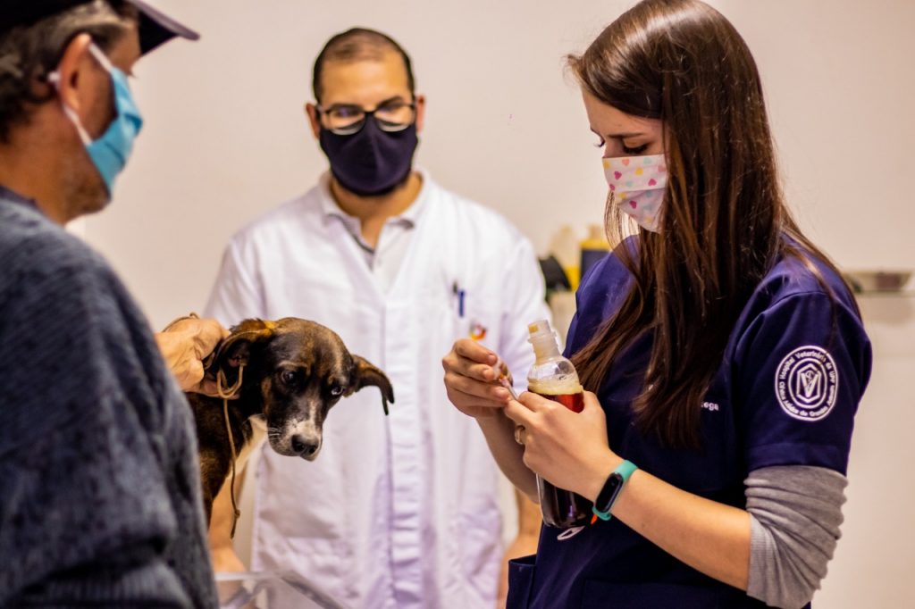 Parceria entre Município e UPF amplia número de veterinários no Ambulatório Municipal