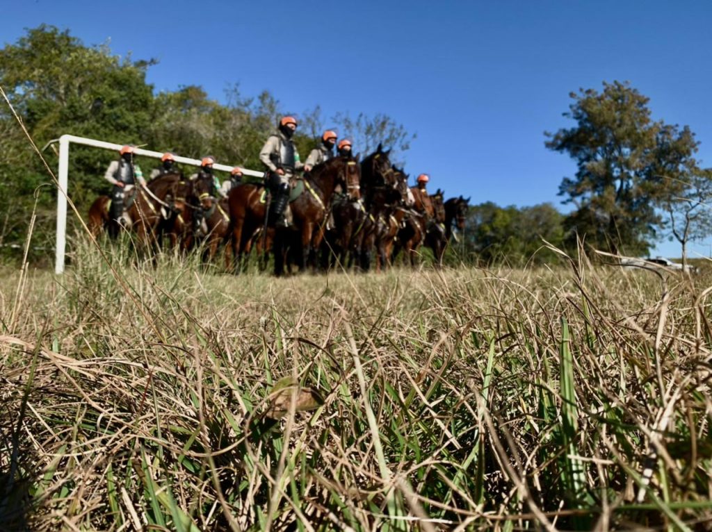 Cavalaria do 3° RPMon conclui o Curso Básico de Policiamento Montado em Porto Alegre